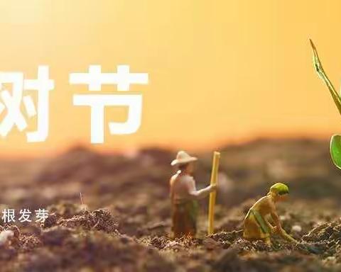 连州市博爱幼儿园中二班312植树节主题活动