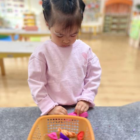 🌸迎新春，庆元旦，红红火火过新年🧨