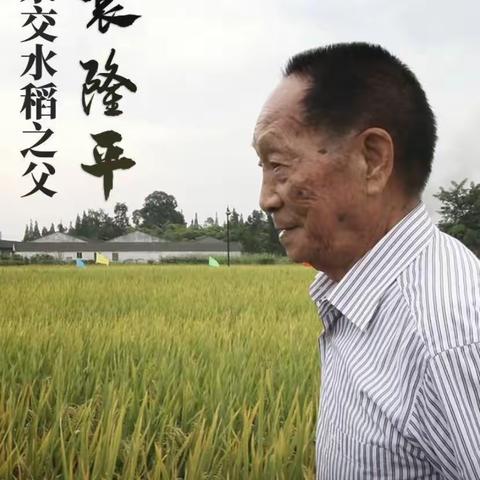 大梦起兮稻花香——教育路小区幼儿园小二班缅怀袁隆平爷爷，节约粮食，杜绝浪费教育主题活动