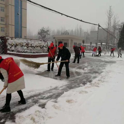 洛阳市复员退伍军人疗养院志愿者服务队走出院门清扫道路积雪