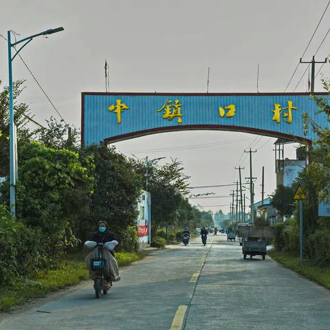 走进丰收中的中镇口村