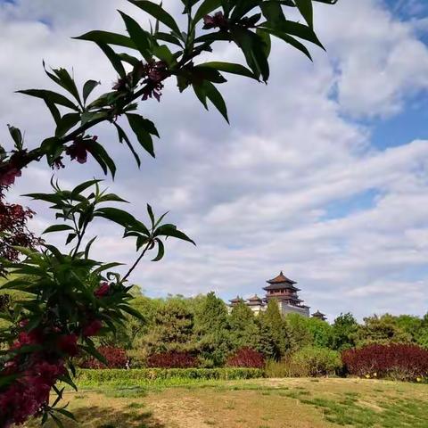 2022年5月1日莲花池