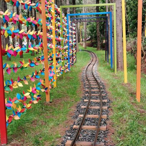 中班生活结束了！