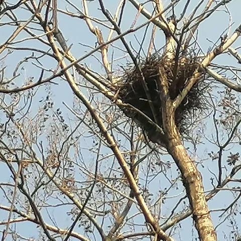 为父母做了一点点小事而已