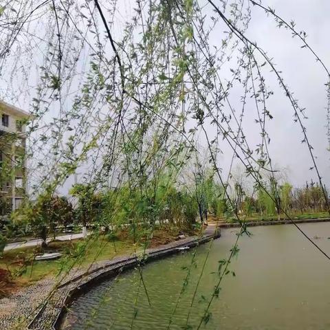 春雨润物细无声，集思广益攻二轮——记高三英语组第五次教研活动