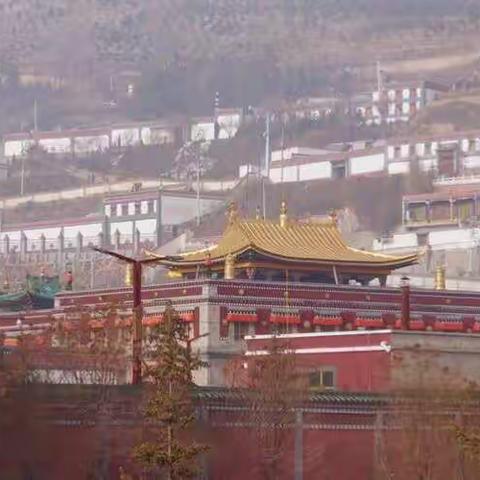 🎉醉美青甘丝绸之路🎉（塔尓寺、青海湖……）🎈🎉🎈🎉🎈🎉