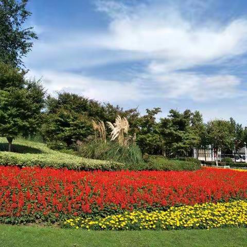 国培计划（2017）宁夏培育性示范县教师团队研修项目培训班