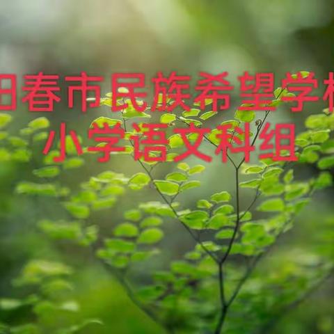 “语”我同行，“研”续成长🌱