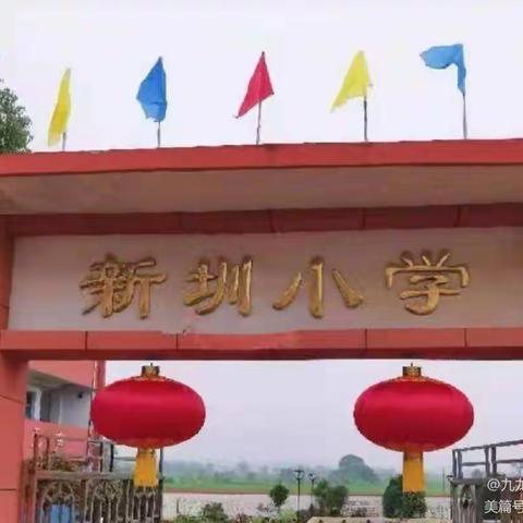 阳光护苗，舞动校园!——记九龙镇新墩小学“一校一品”特色之健美操