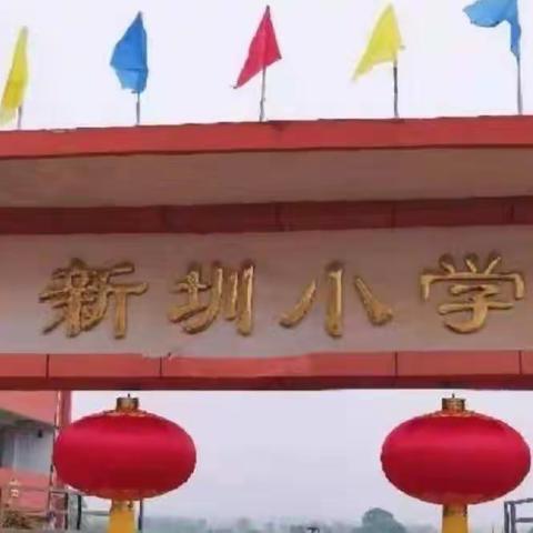 阳光护苗——记九龙镇新墩小学开展法律法规知识宣讲