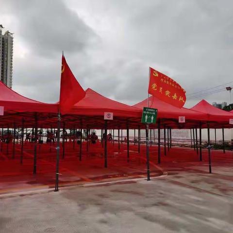 基层党建助力疫情防控，螺涌社区有序开展核酸检测工作