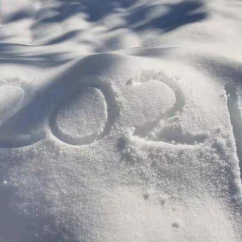 雪花带来了美丽