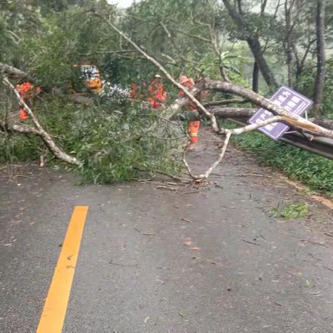 致敬－－保畅通，山区公路人辛苦的足迹