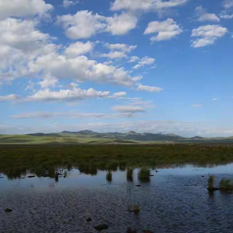 甘南川西之行(四)  花湖