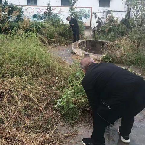 种花绿化美村庄，携手扮靓马庄村