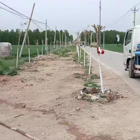 改善生态环境，推进绿色发展