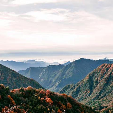 天下红叶第一山  光雾山