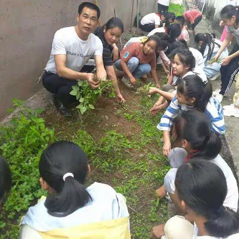 快乐劳动，幸福成长——记五里镇东流小学2020年劳动教育课程活动