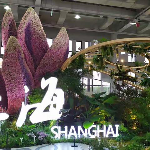 日行两万五，走马看花(博)    续2  复兴馆內展馆