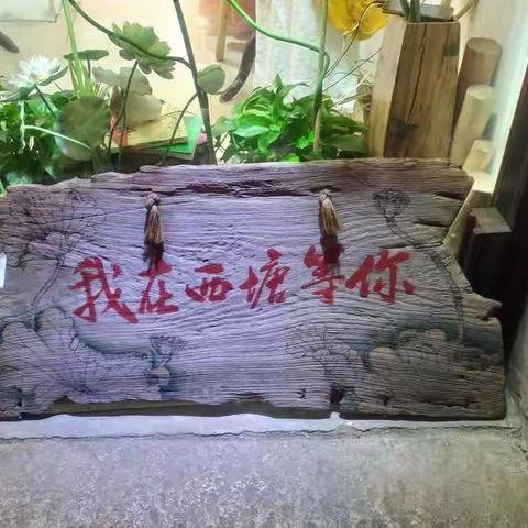 我在西塘等你