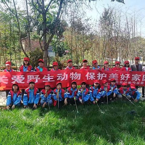 共建绿色家园，共享碧水蓝天---太乙中学开展保护秦岭生态主题教育活动