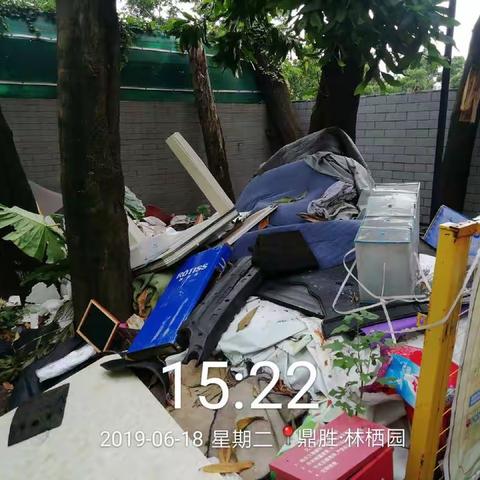 南山区2019年生活垃圾强制分类督导工作第二十七期