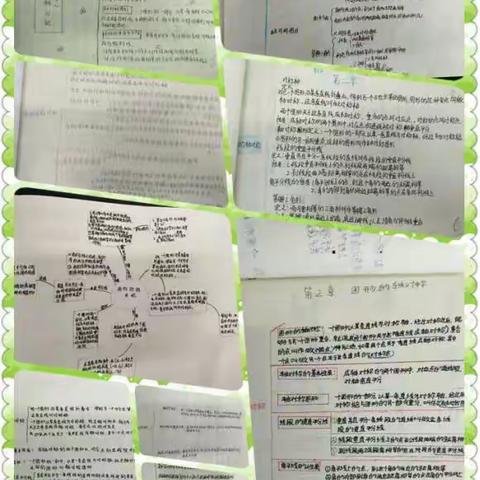 洛城一中美育纪实～～感受数学思维之美