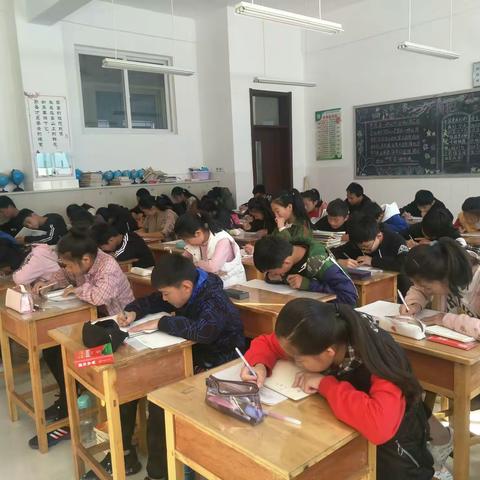 加强专题训练，提升计算能力