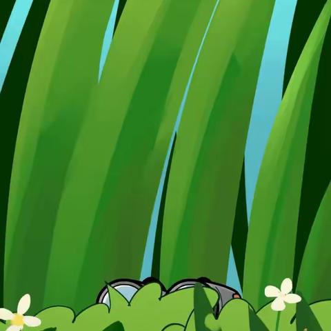 【保健知识】蜱虫的防治