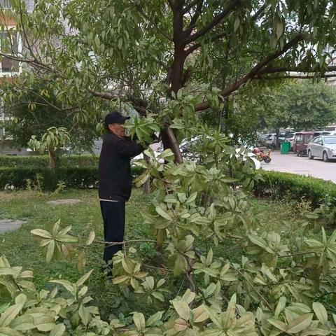 锦绣社区开展清洁家园活动