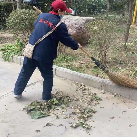 锦绣社区清洁家园