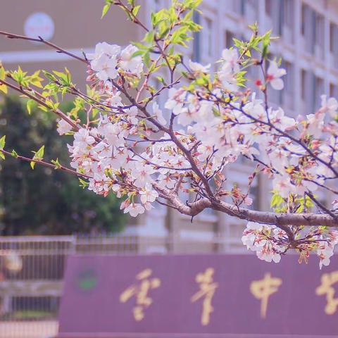 “莫负韶华勤耕耘 似锦繁花恰自开”——记义乌市雪峰中学开学防疫模拟实战演练活动