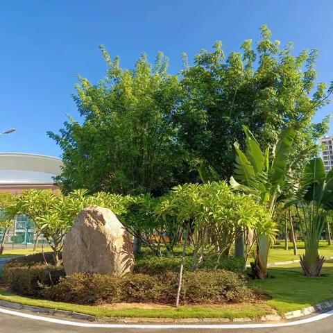 感恩给予：走出去，经验的火花，思想的碰撞