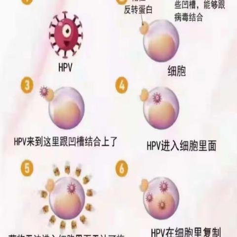 花熙宝、恶露：生殖健康很重要