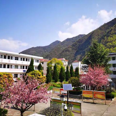 食品安全无小事 安全责任重于山