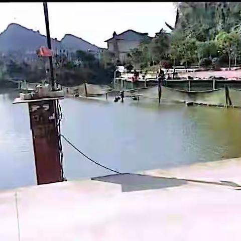 杨眉垂钓园春季黑坑交流赛