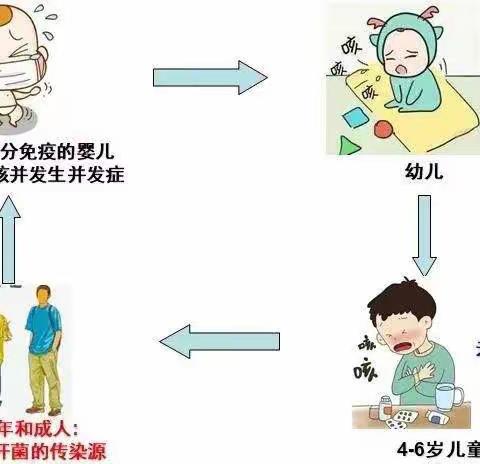 银川市金凤区吉的堡香树幼儿园——《百日咳疾病卫生防控》培训