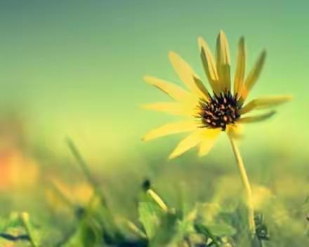 试析新冠肺炎疫情背景下中职生心理问题成因及其对策