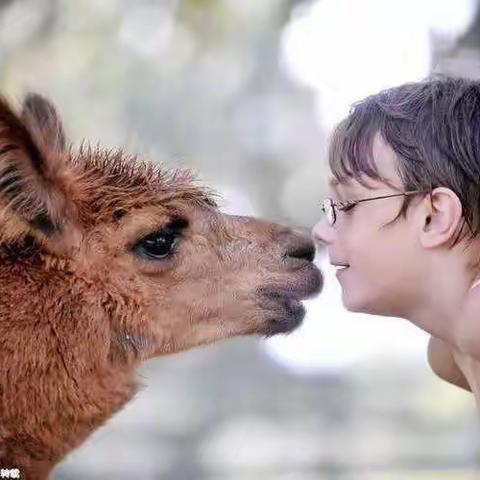 爱宠亦爱己||动物在我们人生成长中的重要意义