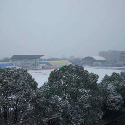 当镇中遇上雪，那一尘不染的美！