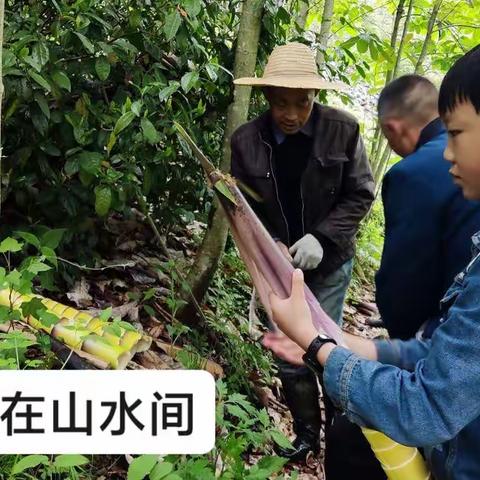 行走在山水间  感受慢生活