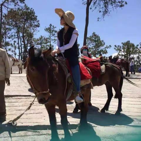 拉市海茶马古道一日游