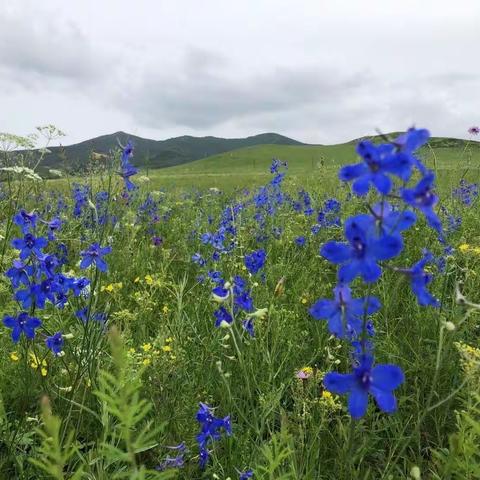 慢点，再慢点