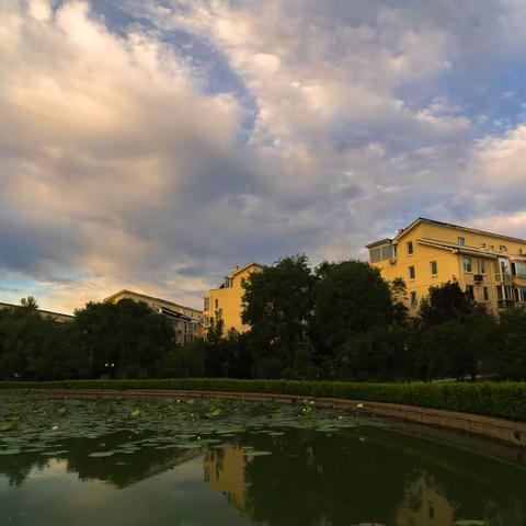 残荷 编制一剑飞鸿