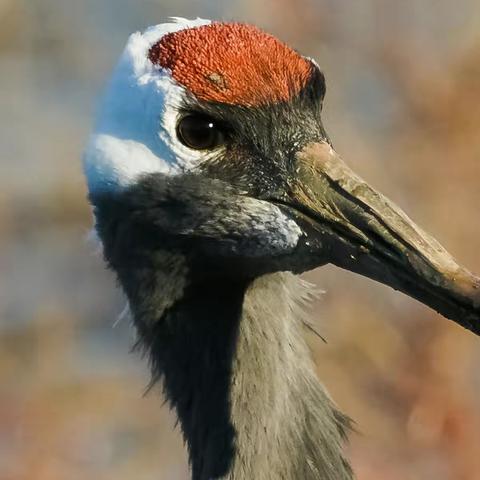 一剑飞鸿的美篇