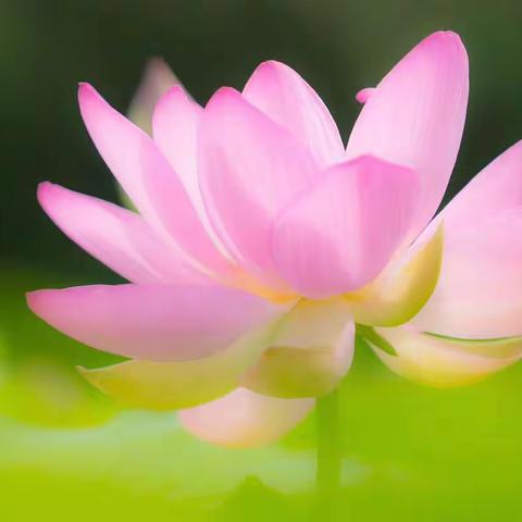 破茧成蝶，华丽蜕变，                                              不忘初心，砥砺前行！