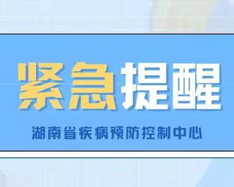 阳光苗苗幼儿园致家长的一封信&疫情防控