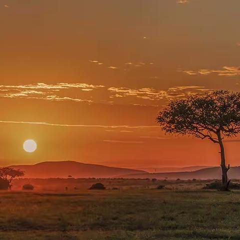 沈洪斌北京摄影函授学院线上影展作品