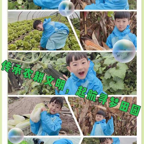 动手采摘快乐，感受丰收喜悦