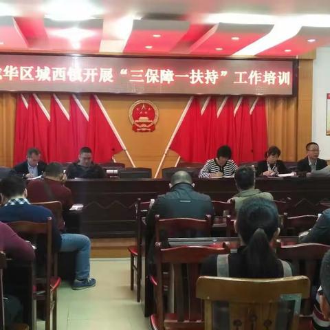城西镇全面落实“三保障一扶持”工作业务培训会